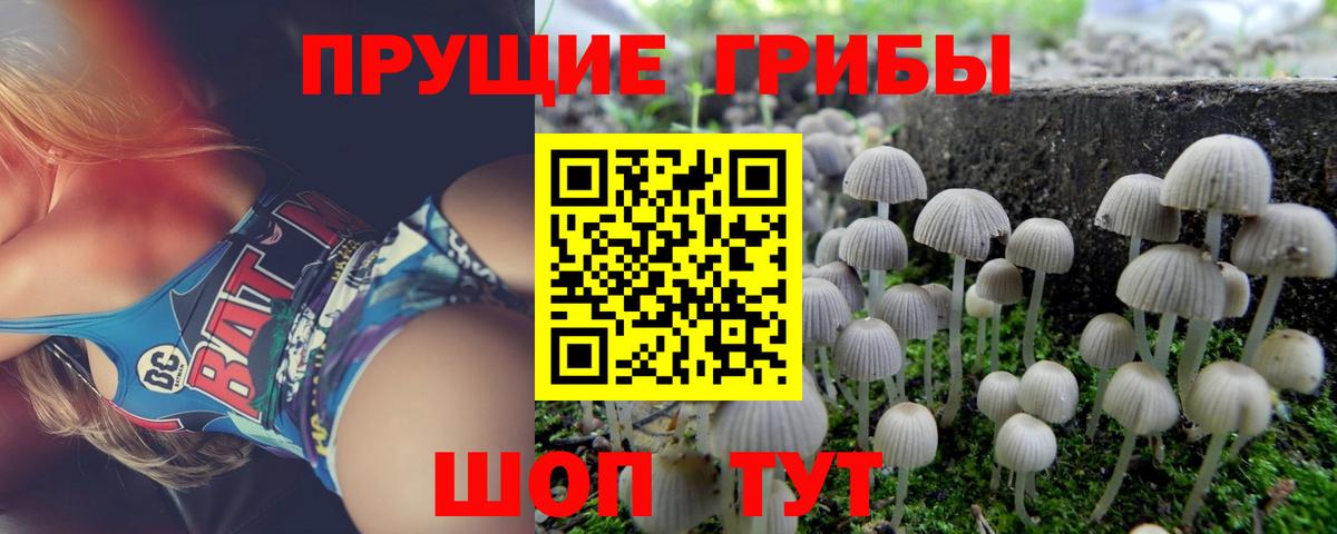 Галлюциногенные грибы GOLDEN TEACHER  Псилоцибиновые грибы MAGIC MUSHROOMS  Кулебаки  Вход с VPN 